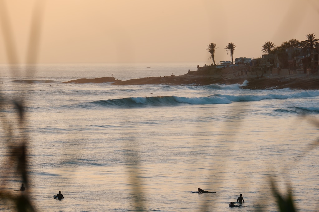 Surfers in the water at sunset in Taghazout
